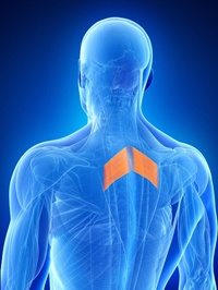 rhomboid muscle strain treatment